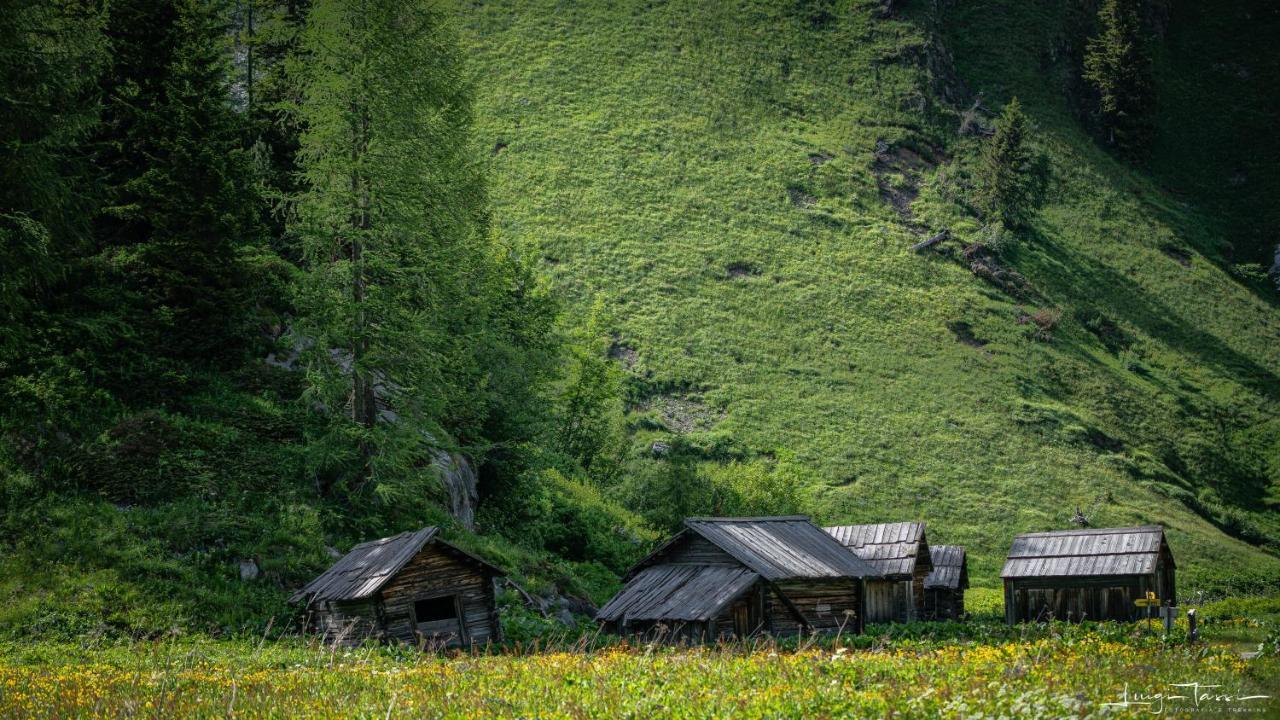 Апартаменты Haus Egger Картитш Экстерьер фото